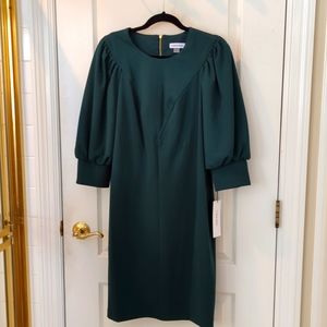 Calvin Klein forest green long sleeve dress. NWT size 12